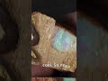 #104. The countdown continues... Amazing Pipe Opal Specimen (part of the Brisbane Opal Museum collec