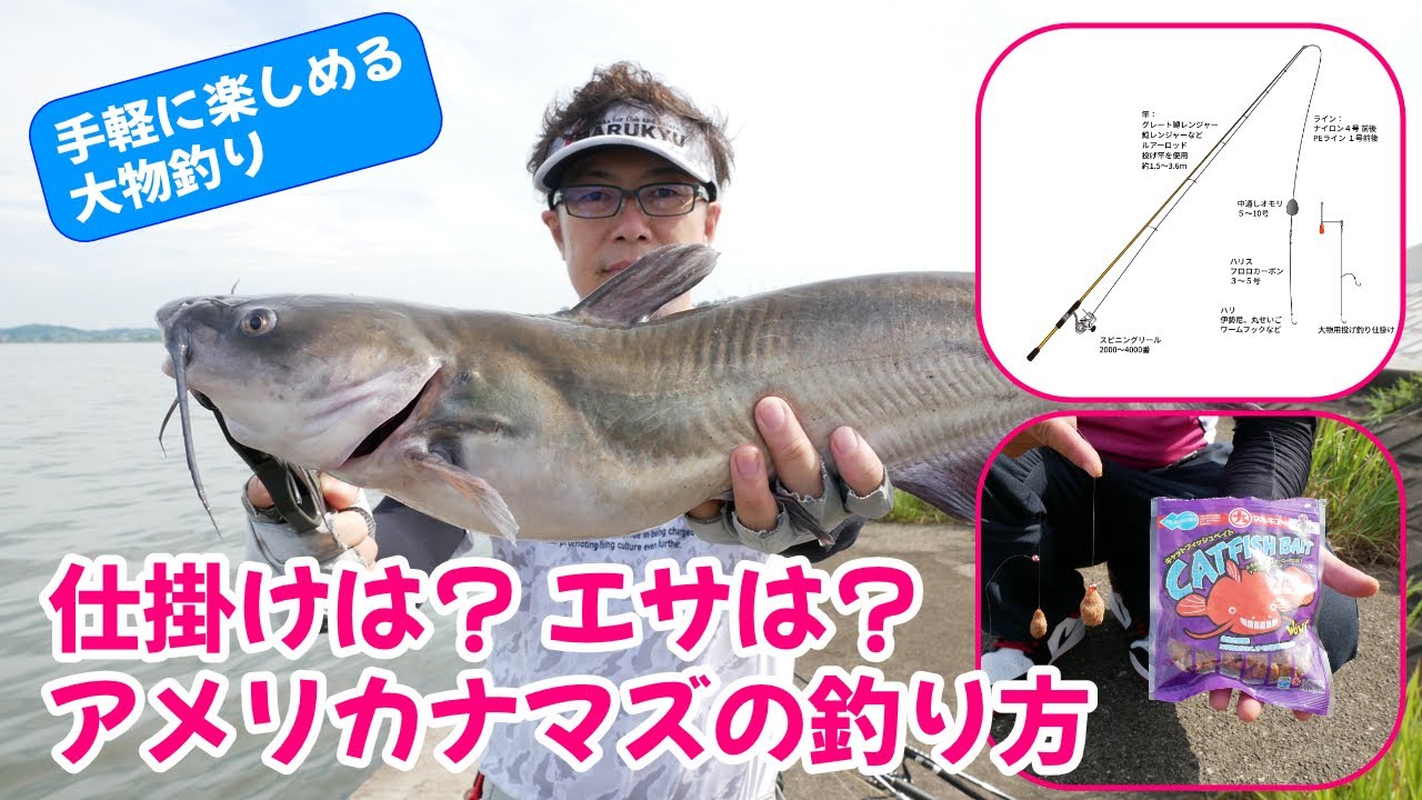 初心者でも楽しい釣り 霞ヶ浦でアメリカナマズ釣り 仕掛けやエサを紹介  #アメリカナマズ