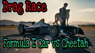 Drag Race- Formula E Car vs Cheetah \\