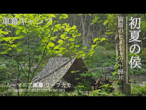 ルーマニア軍幕をAフレーム張り 新緑の森で鰻丼を食す【ソロキャンプ