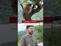 Margalla Hills at Risk? Experts Warn of Serious Environmental Damage| Pakistan Matters