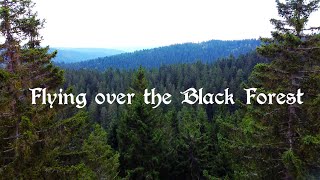 Flying over the Black Forest in Germany - Relax music and video