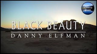 Black Beauty | Calm Continuous Mix