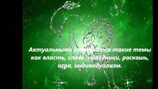 Астролог Ольга Аристова: «Наступивший год будет позитивным и принесет много перемен»