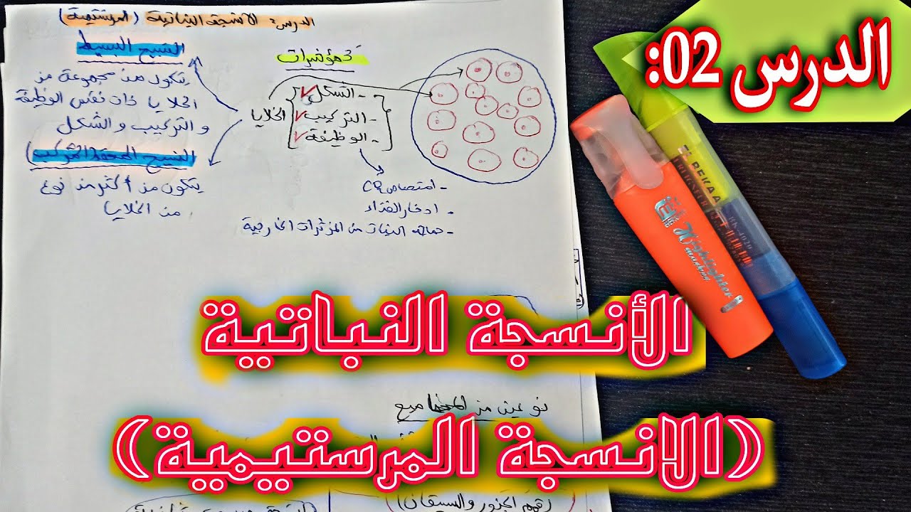الدرس 02:الأنسجة النباتية(الأنسجة المرستيمية)✨| علم النبات 🍀[الجزء 01]