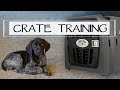 Puppy Crate Training - YAWA Dog Training Podcast: Episode 40 Question 7