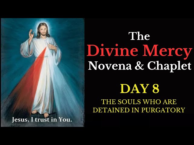 Divine Mercy Novena & Chaplet - Day 8 class=