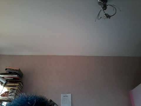 ჭრიჭინების ცეკვა.   ვუკრავთ. ბოდიშით ხმაურია