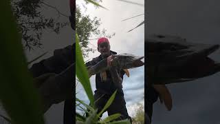 Shes Slim But Gorgeous