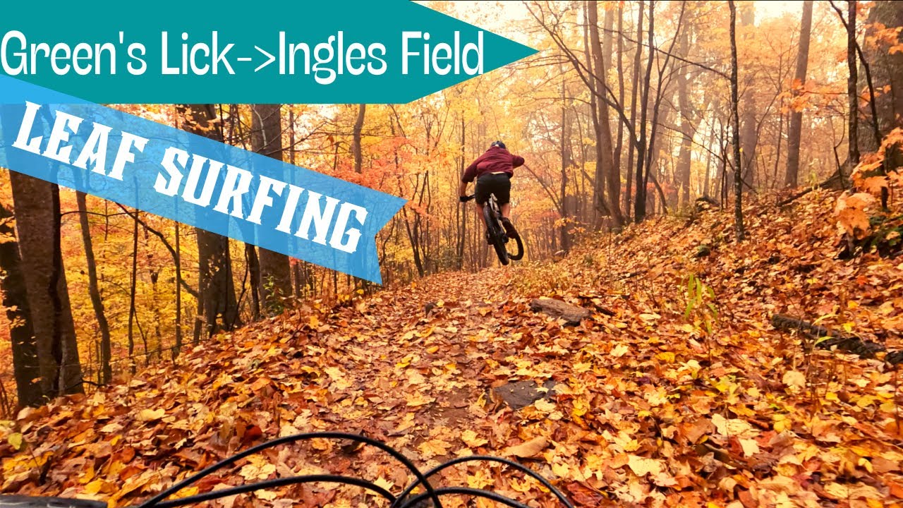 🍁LeAf SuRfInG🍁 @ Bent Creek | Green's Lick to Ingles Field to Wolf Branch | PISGAH