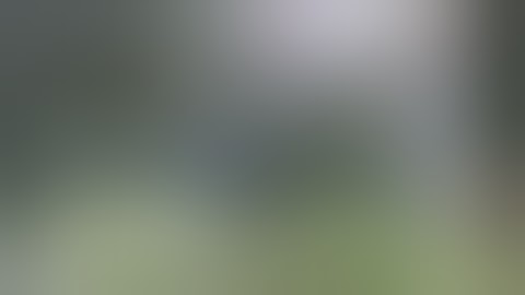 From www metacafe com 73033 313412 1 00