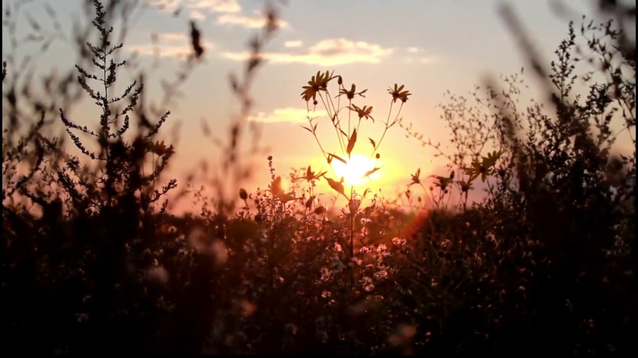 О, весна без конца и без краю… А Блок - YouTube