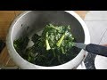 Very easy and tasty Kashmiri Kadam ka Saag/Bhat Hakh || कश्मीरी हरा साग  || (Collard leaf) recipe