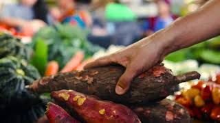 Quiltro menú degustación