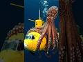 A gian octopus 🤯 #sea #creature #octopus #viral #trending #foryou