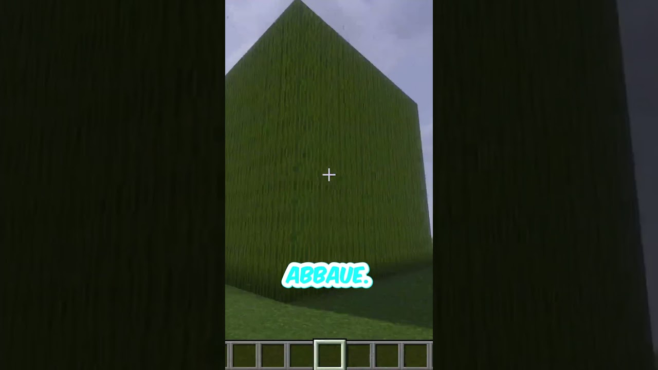 Ich habe 1000 MELONEN in MINECRAFT Zerstört!!