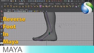 Rigging In Maya Chapter 06 - Reverse foot
