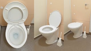 Llc Armitage Shanks Contour Toilet, Singleton Hospital Circa 1980S