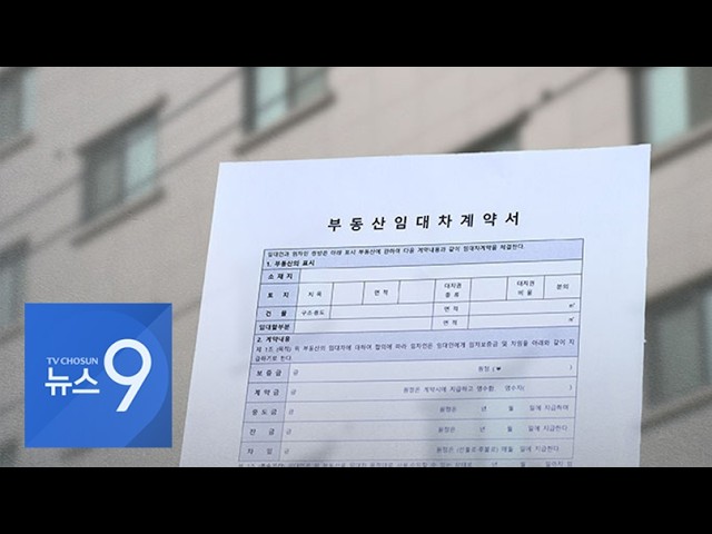 [단독] 전세 사기범 징역 12년 중형에도…"정부서 피해자 인정도 안해" [뉴스9]