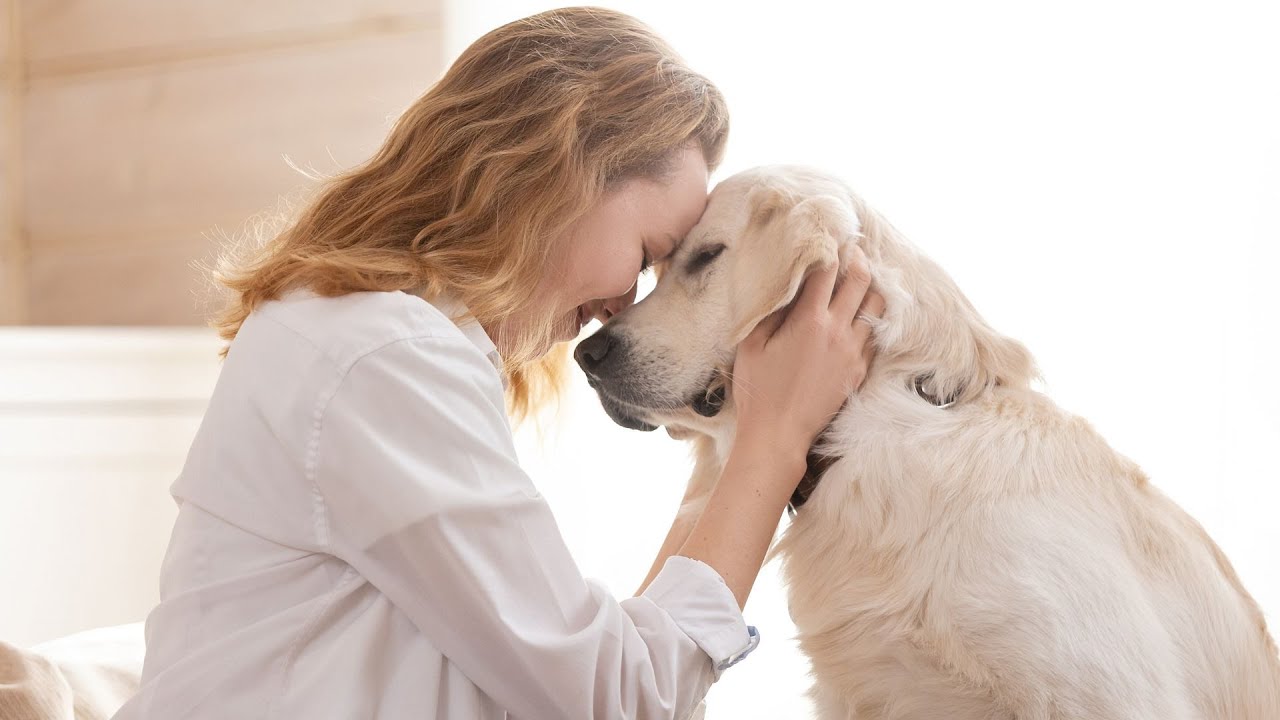 New TOEFL Speaking Part 2 (2026) | Take an Interview #2 (Pet Experience)