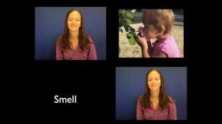 Smell & Taste Vocabulary - ASL & Fingerspelling