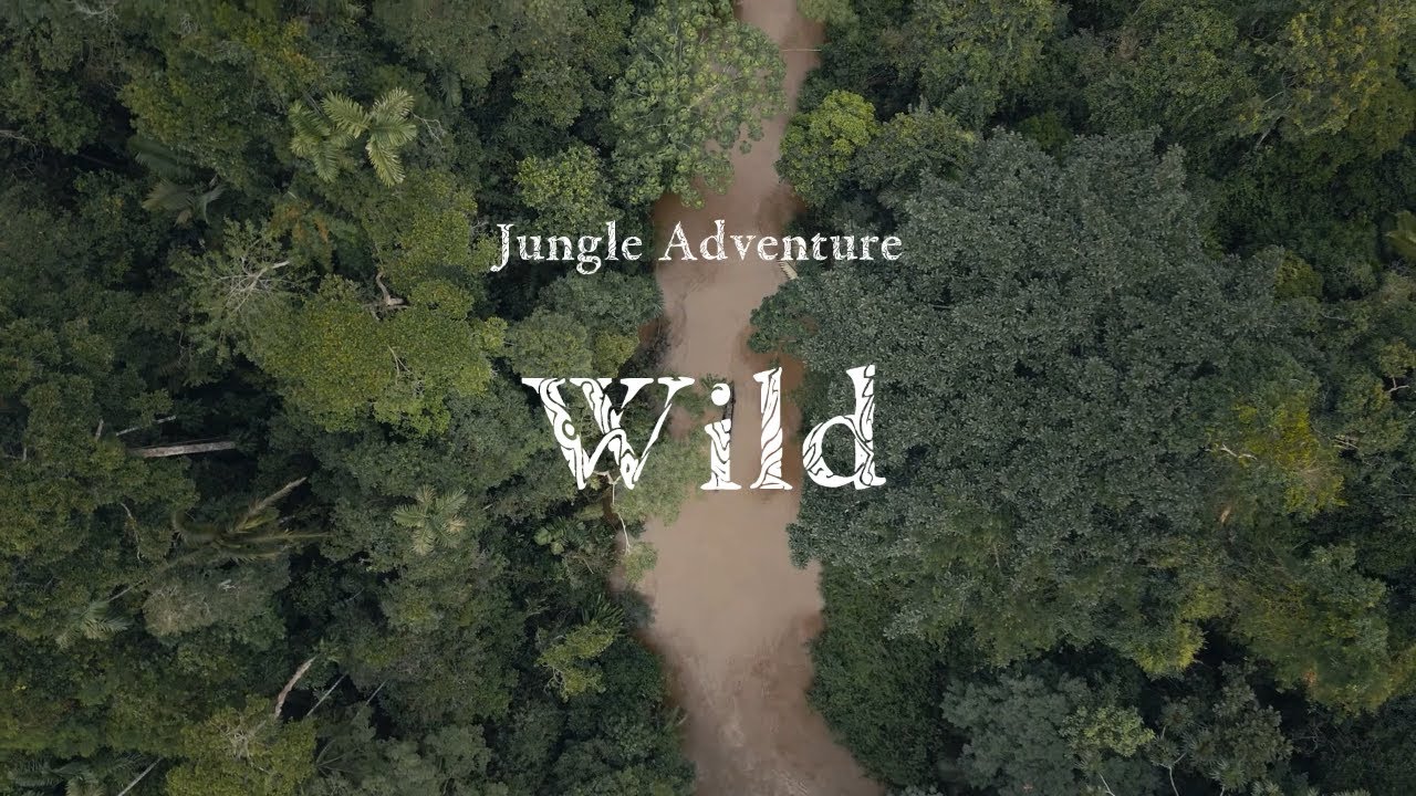 [PLAYLIST] Wild / Jungle Adventure  