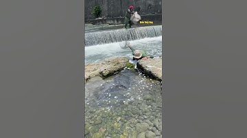 Cá Lớn - bắt Cá Rô Phi dưới chân đập nước 😱 #khacthuyvlogg