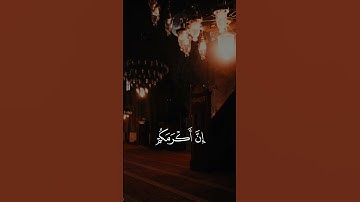 تلاوة مباركة للشيخ علي الحذيفي #quran