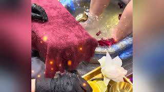 Hollywood Nails Spa Pedicure VIP pedicure -new