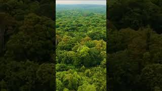 Ini spot/lokasi lele lembat kita #alamliar #campingberdua #djineo #djineo2 #predatorhitamterbaru