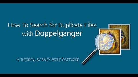 Doppelganger Tutorial 1: How To Search for Duplicate Files
