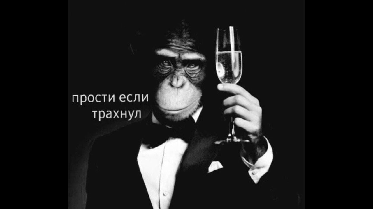 Для бро не должно быть жалко шлюшки Для бро не должно быть жалко шлюшки