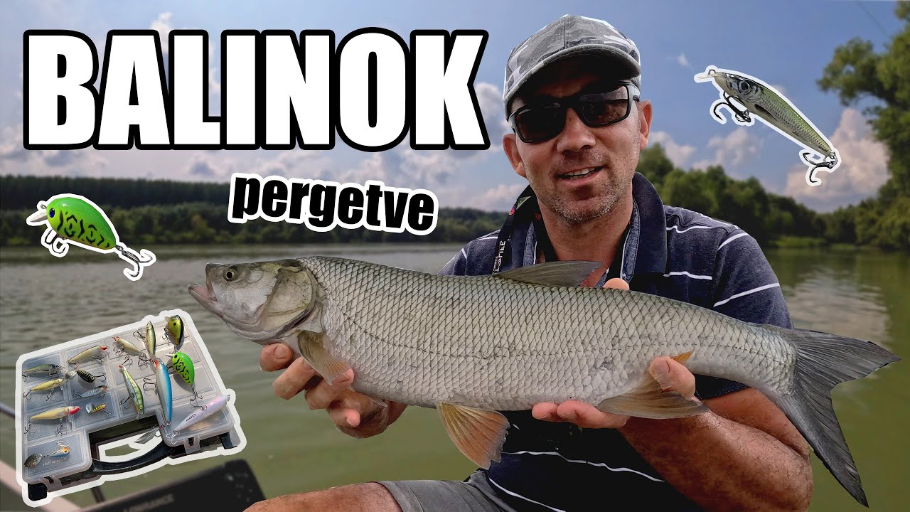 Balinozás a Dunán - Dimakfishing 14.rész