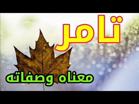معنى اسم تامر و صفات حامل هذا الإسم