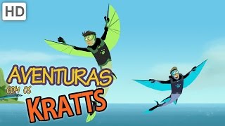 Aventuras con los Kratt  Los Expertos en Vida Silvestre