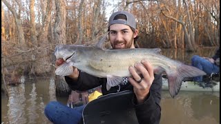 WE CAUGHT CATFISH AND SLAB CRAPPIE ON YOYO'S! ( Loser eats MINNOW! )