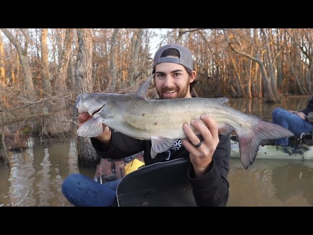 Yo-Yo Fishing SLAB CRAPPIE and CATFISH Deep In SWAMP! {Catch Clean