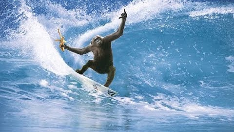 The Aron Ra Marathon II Phylogeny Challenge II Mutations II Systematic Classification of Life & MORE