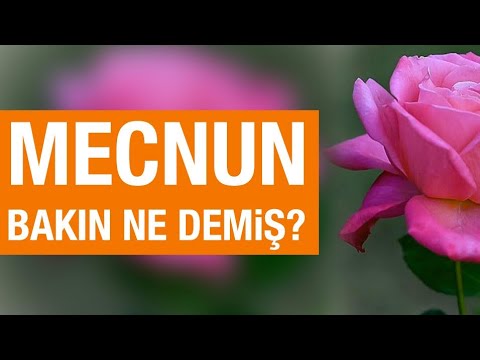 Mecnun Bakın Ne Demiş - Sevgi Nedir