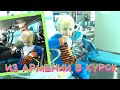 Возвращаемся домой в Курск / Аэропорт Еревана. Часть 1-я.