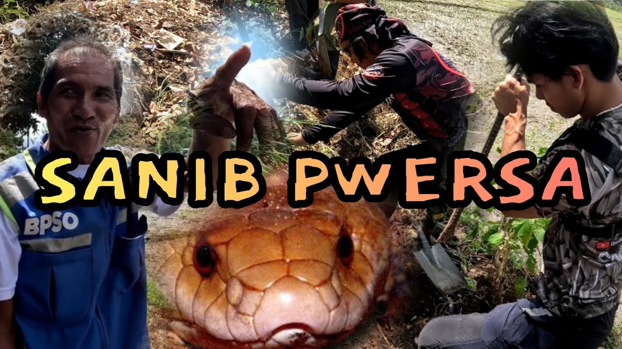 BANGKAY NA NG AMING ABUTAN #cobraking #tolcobra #cobraprince #cristurkz