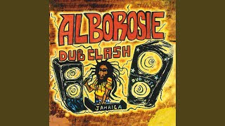 Space Echo Malfunction - Alborosie