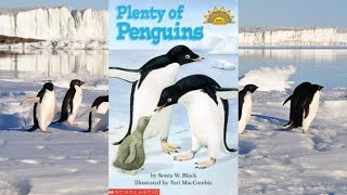 Plenty Of Penguins Kids Book Read Aloud Winter Books