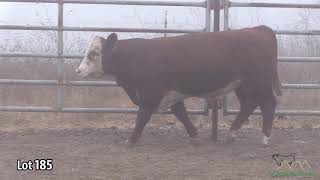 Lot 185  B6 6964 Leader 867B 372G