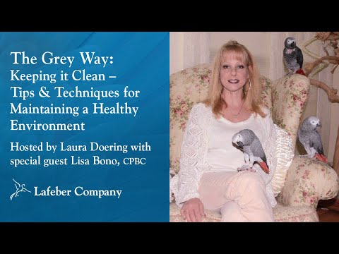 The Grey Way 5: Keeping it Clean–Tips & Techniques for Maintaining a Healthy Pet Bird Environment