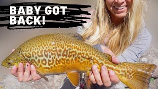 Tiger Got Back Big, Chunky Tiger On The Fly