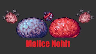 Slime God Malice Nohit - Ranged - Terraria Calamity Mod