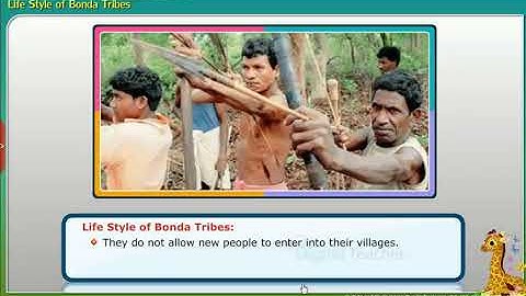 Forests - Tribes, Class 5 EVS SSC | Digital Teacher