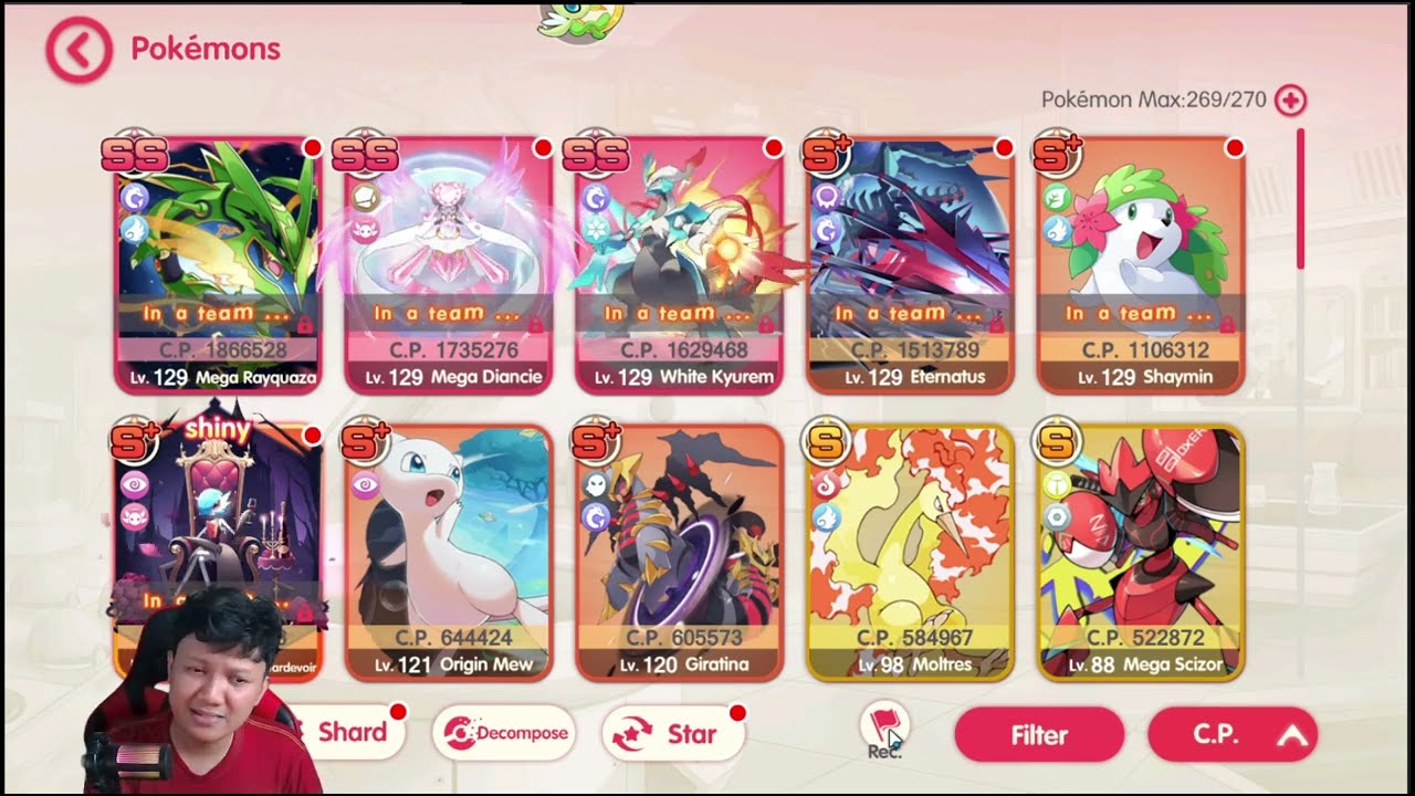 🔥🔥🔥VIP0 SEPUH TIM DRAGON BEAUTY‼️| Pocket Incoming