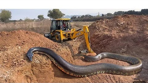 JCB 3DX plus eco xpert Full Mud with powertrack 439 Sonalika 43rx and Mahindra 575 loading JCB video